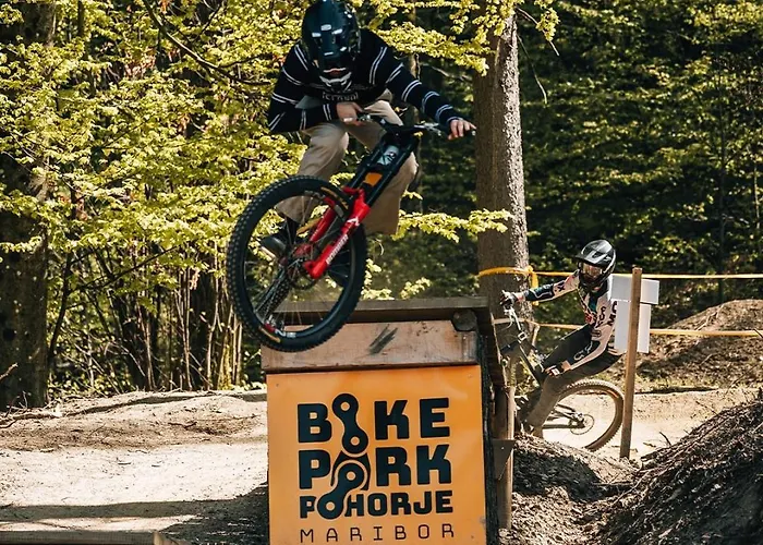 Apartma Masada * マリボル